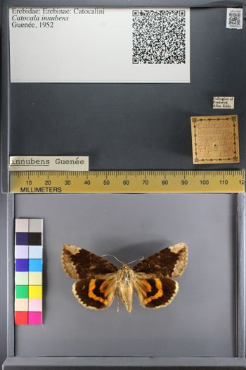 Media type: image;   Entomology 640215